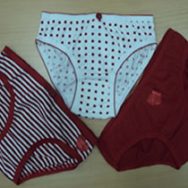 Mens Brief